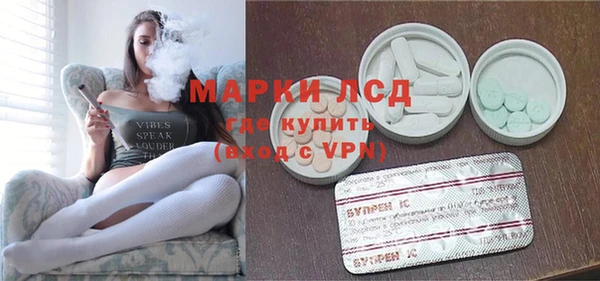 ПСИЛОЦИБИНОВЫЕ ГРИБЫ Лабытнанги