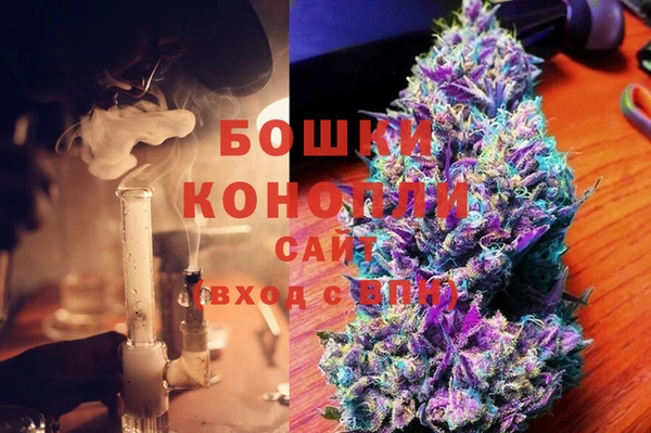 ПСИЛОЦИБИНОВЫЕ ГРИБЫ Лабытнанги